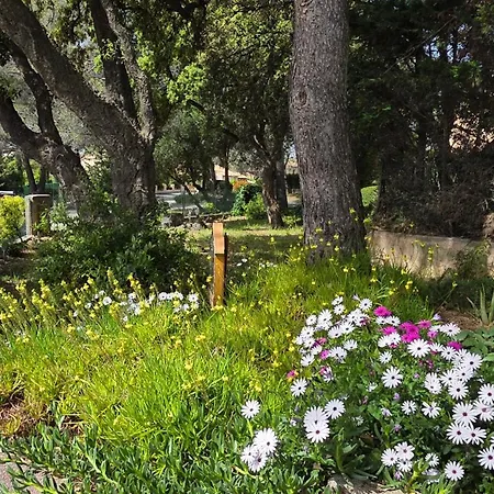 Entire Ground Floor In Beautiful Tatil Evi